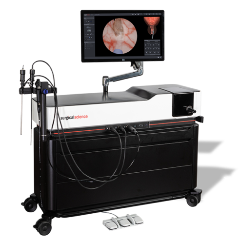 The Only VR Simulator for Endourology Training