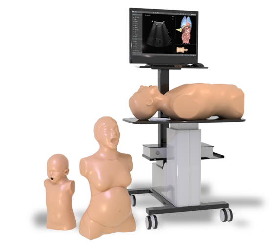 One Platform for All Your Ultrasound Training Needs