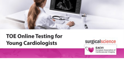 Introducing the Online TOE Testing Pilot