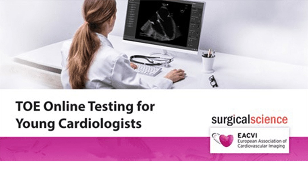 Introducing the Online TOE Testing Pilot