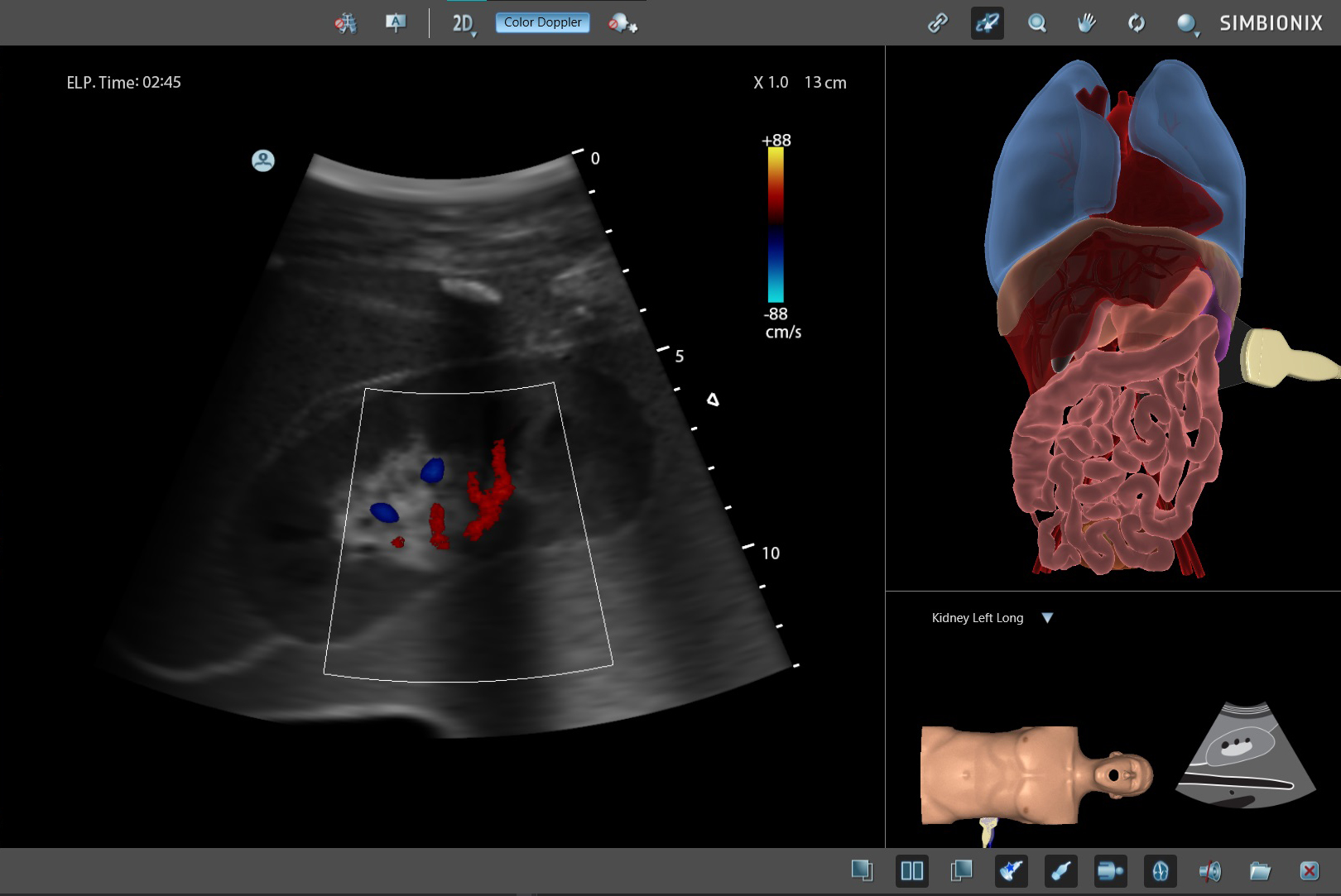Abdominal Module - Surgical Science