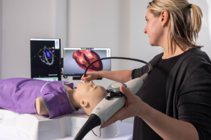 Transesophageal Echocardiography (TEE)
